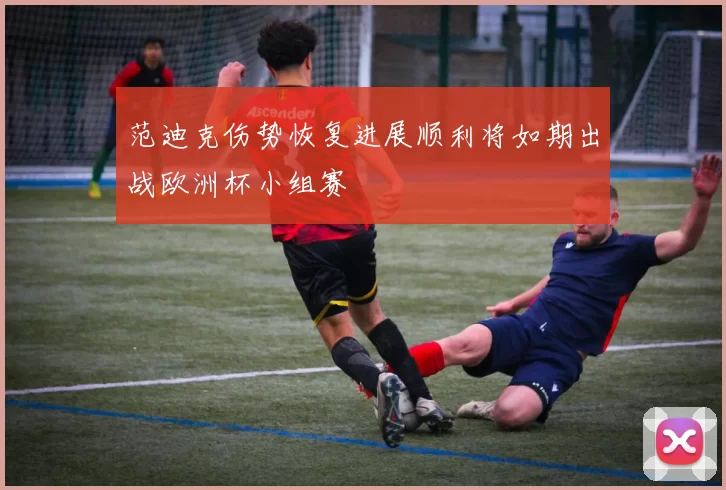 范迪克伤势恢复进展顺利将如期出战欧洲杯小组赛