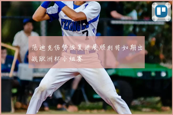 范迪克伤势恢复进展顺利将如期出战欧洲杯小组赛