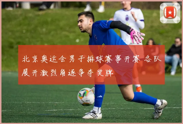 北京奥运会男子排球赛事开赛 各队展开激烈角逐争夺奖牌